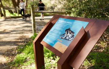 Community Garden Open Day